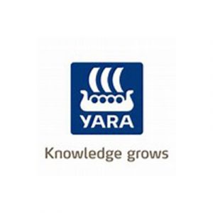Knowledge Grows
