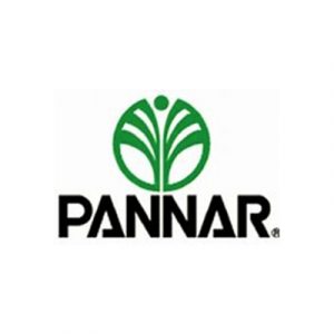 Pannar