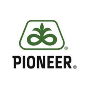 Pioneer